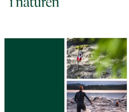 Arrangemang i naturen