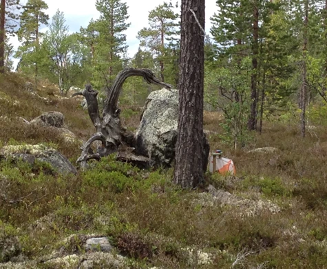 Naturbild med kontroll (Idre)