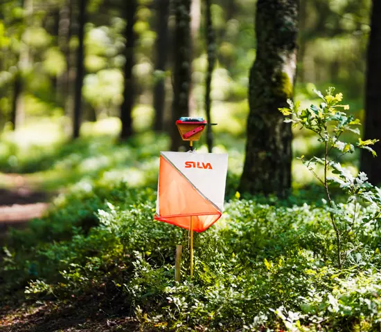Silva Kontroll I Skog