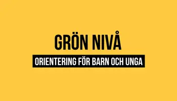 Fyrkantspuff Gron